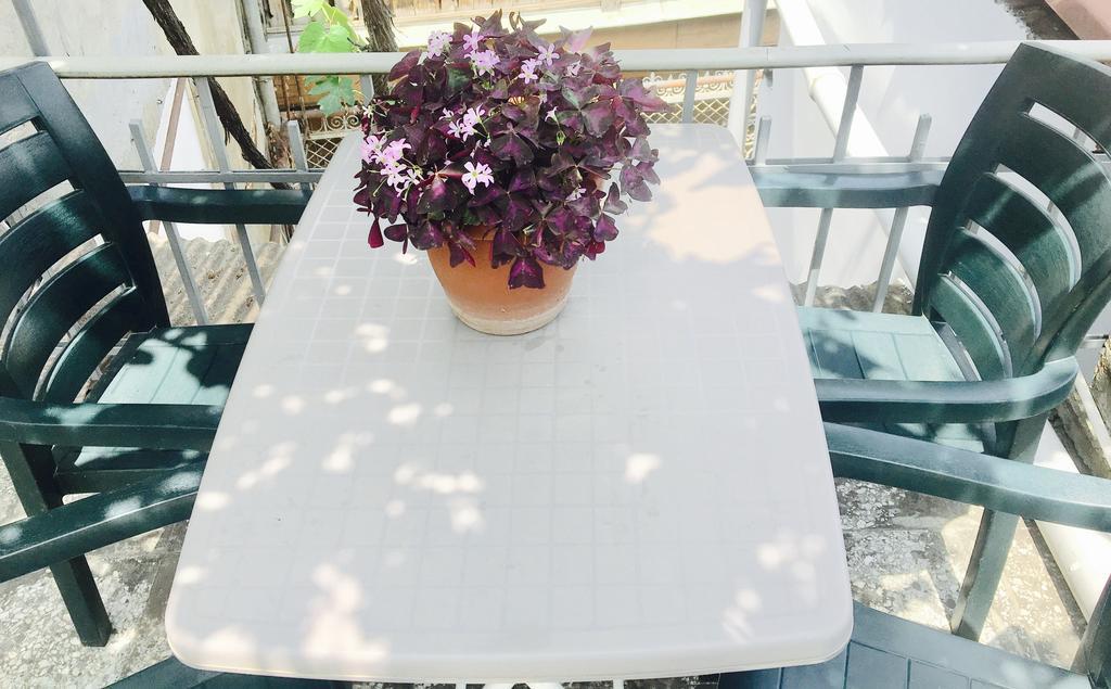 Guest House Zatika Τυφλίδα Εξωτερικό φωτογραφία
